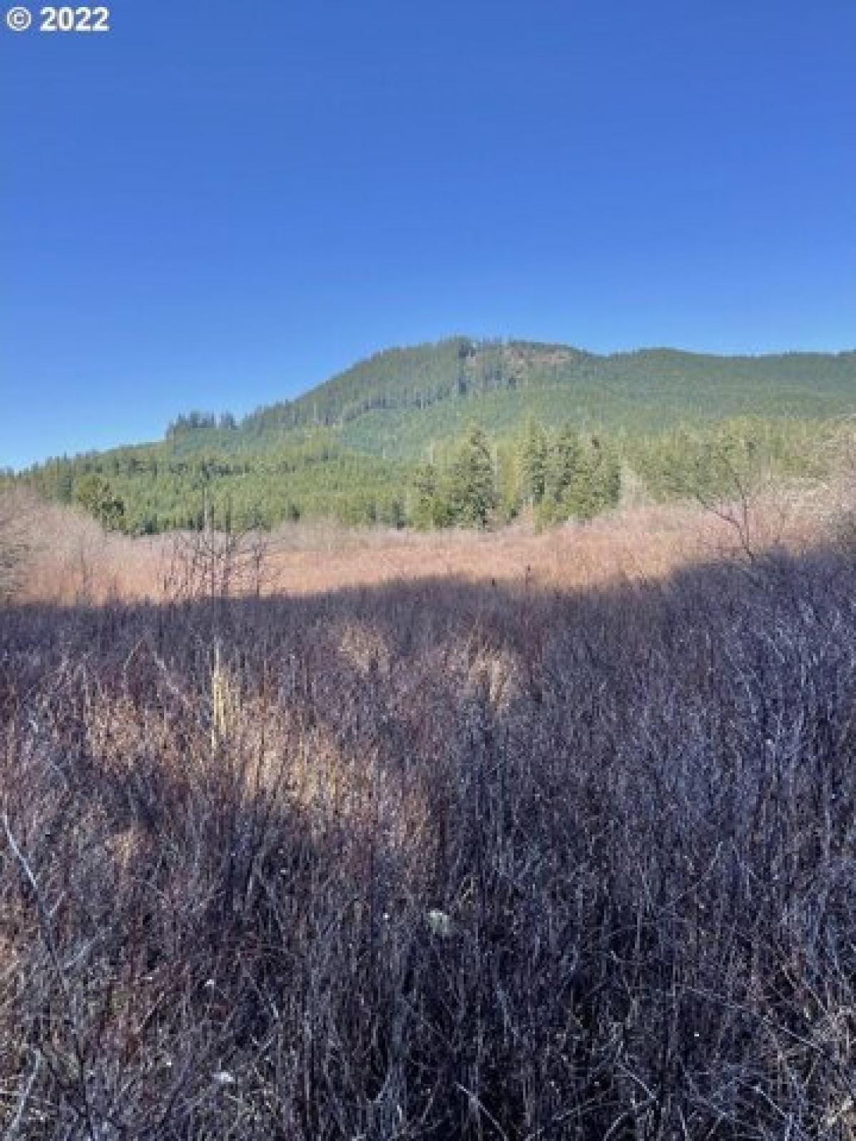 Picture of Residential Land For Sale in Powers, Oregon, United States