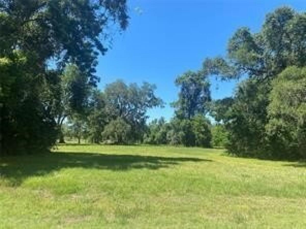 Picture of Residential Land For Sale in Angleton, Texas, United States