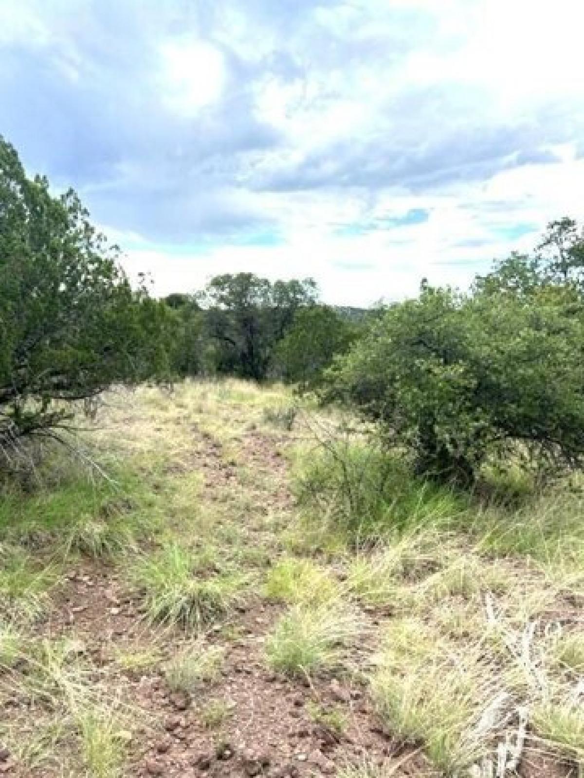 Picture of Residential Land For Sale in Alpine, Texas, United States