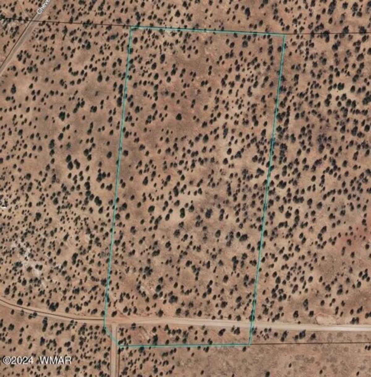 Picture of Residential Land For Sale in Heber, Arizona, United States