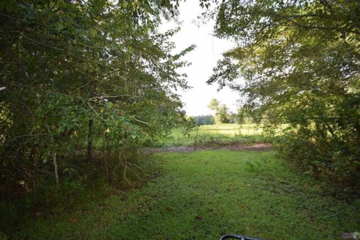 Picture of Residential Land For Sale in Donaldsonville, Louisiana, United States