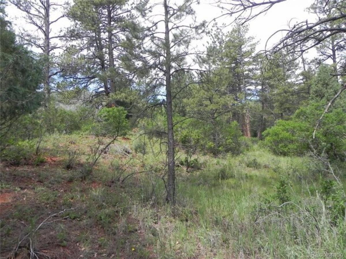 Picture of Residential Land For Sale in Larkspur, Colorado, United States