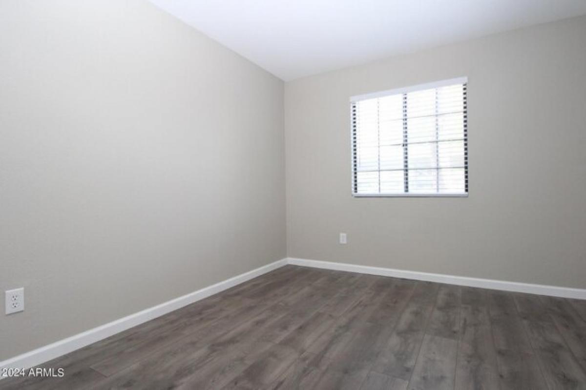 Picture of Apartment For Rent in Mesa, Arizona, United States