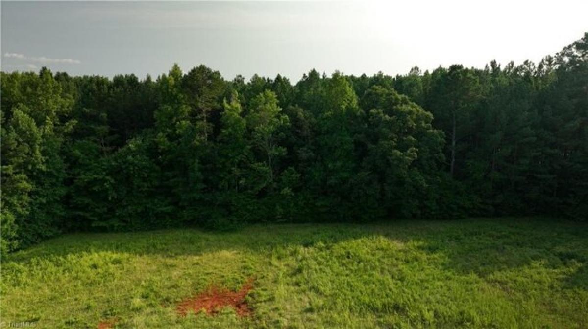 Picture of Residential Land For Sale in Asheboro, North Carolina, United States