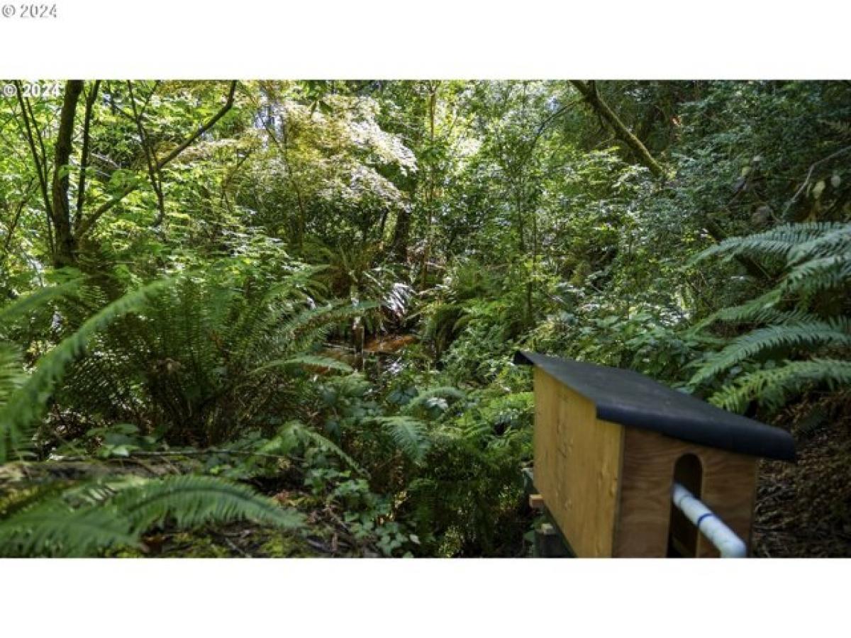 Picture of Home For Sale in Bandon, Oregon, United States