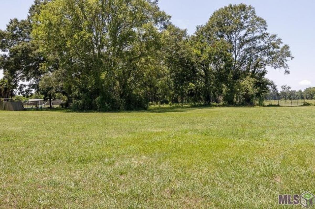 Picture of Residential Land For Sale in Port Allen, Louisiana, United States