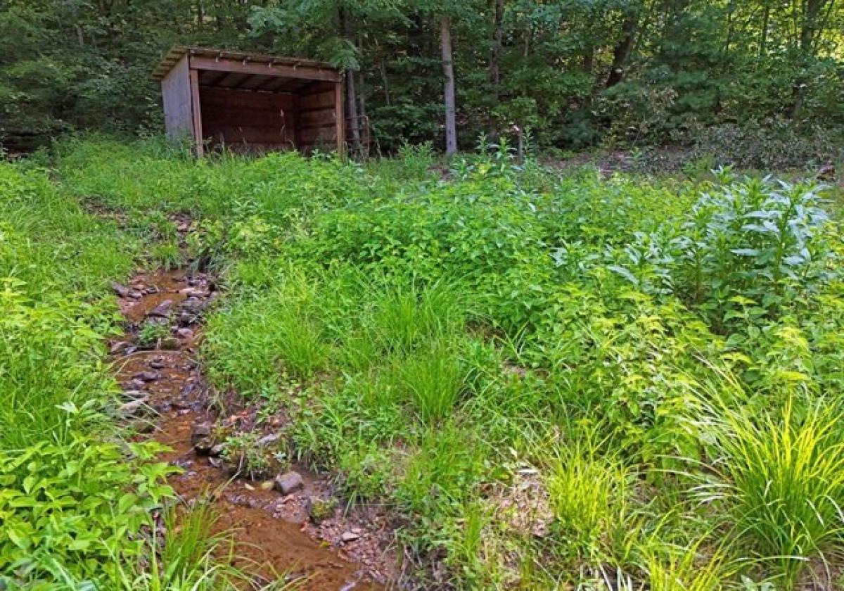 Picture of Home For Sale in Blairsville, Georgia, United States