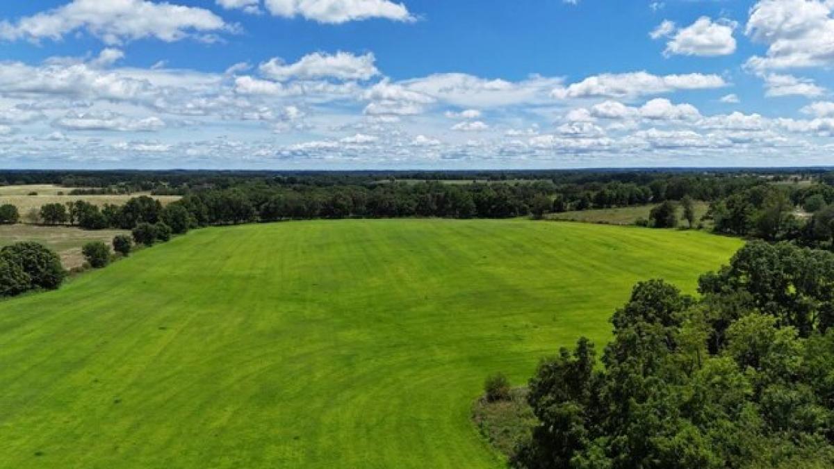 Picture of Residential Land For Sale in Marionville, Missouri, United States