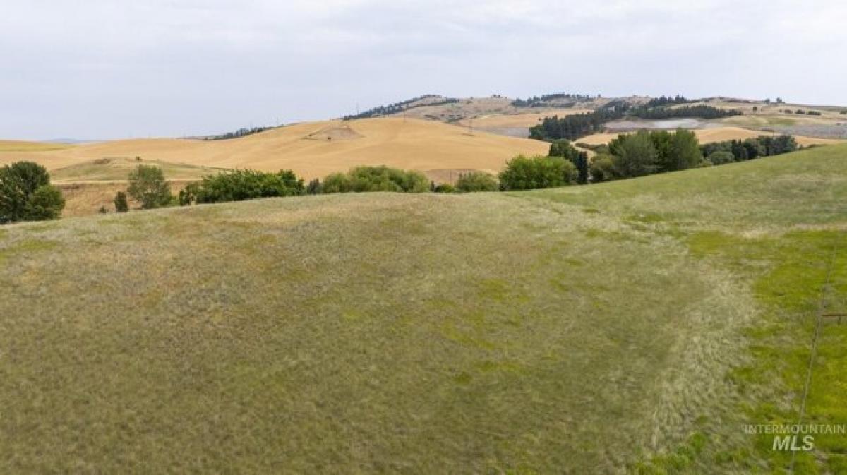 Picture of Residential Land For Sale in Moscow, Idaho, United States