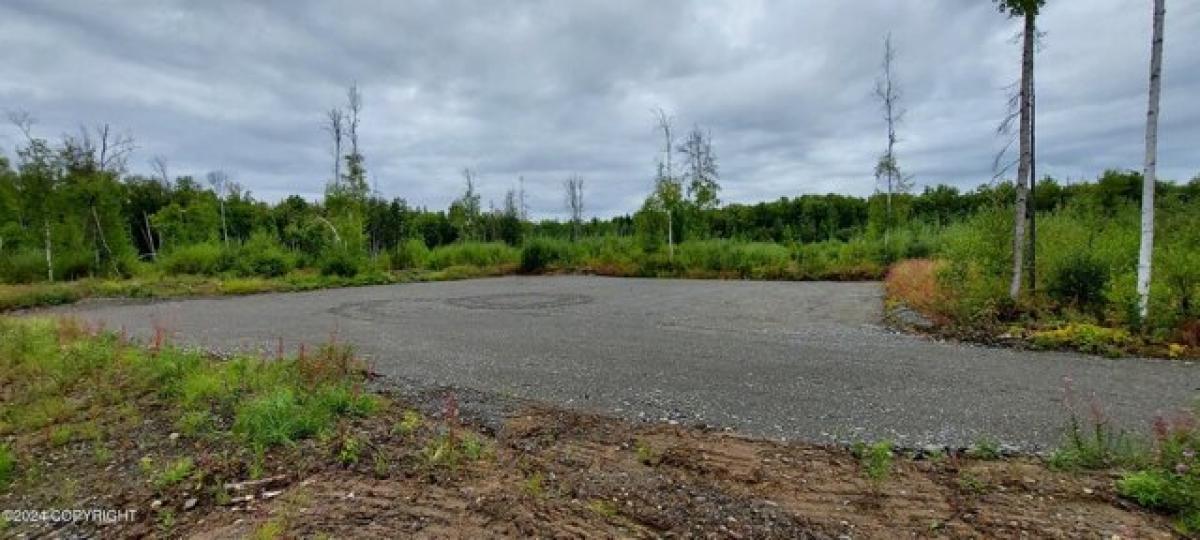 Picture of Residential Land For Sale in Talkeetna, Alaska, United States