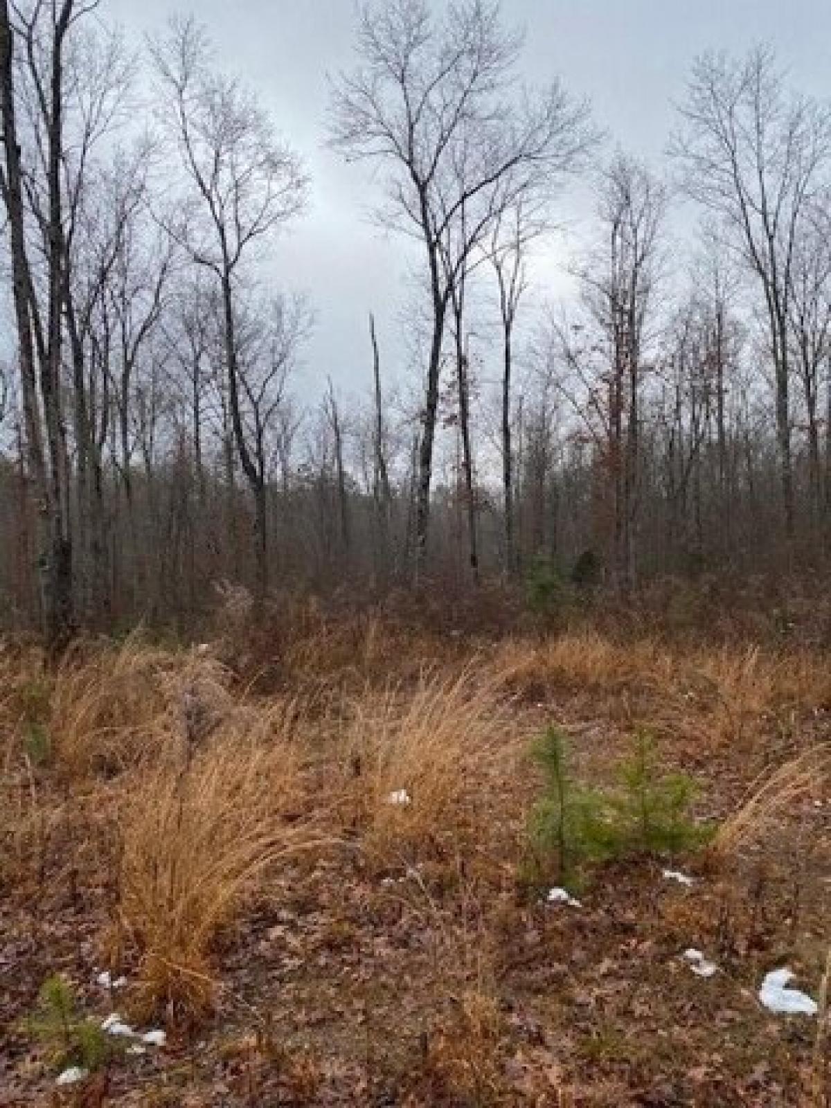 Picture of Residential Land For Sale in Gruetli Laager, Tennessee, United States