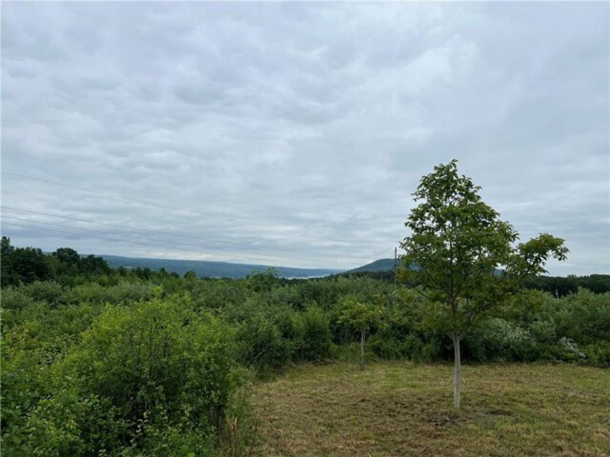 Picture of Residential Land For Sale in Wayne, New York, United States