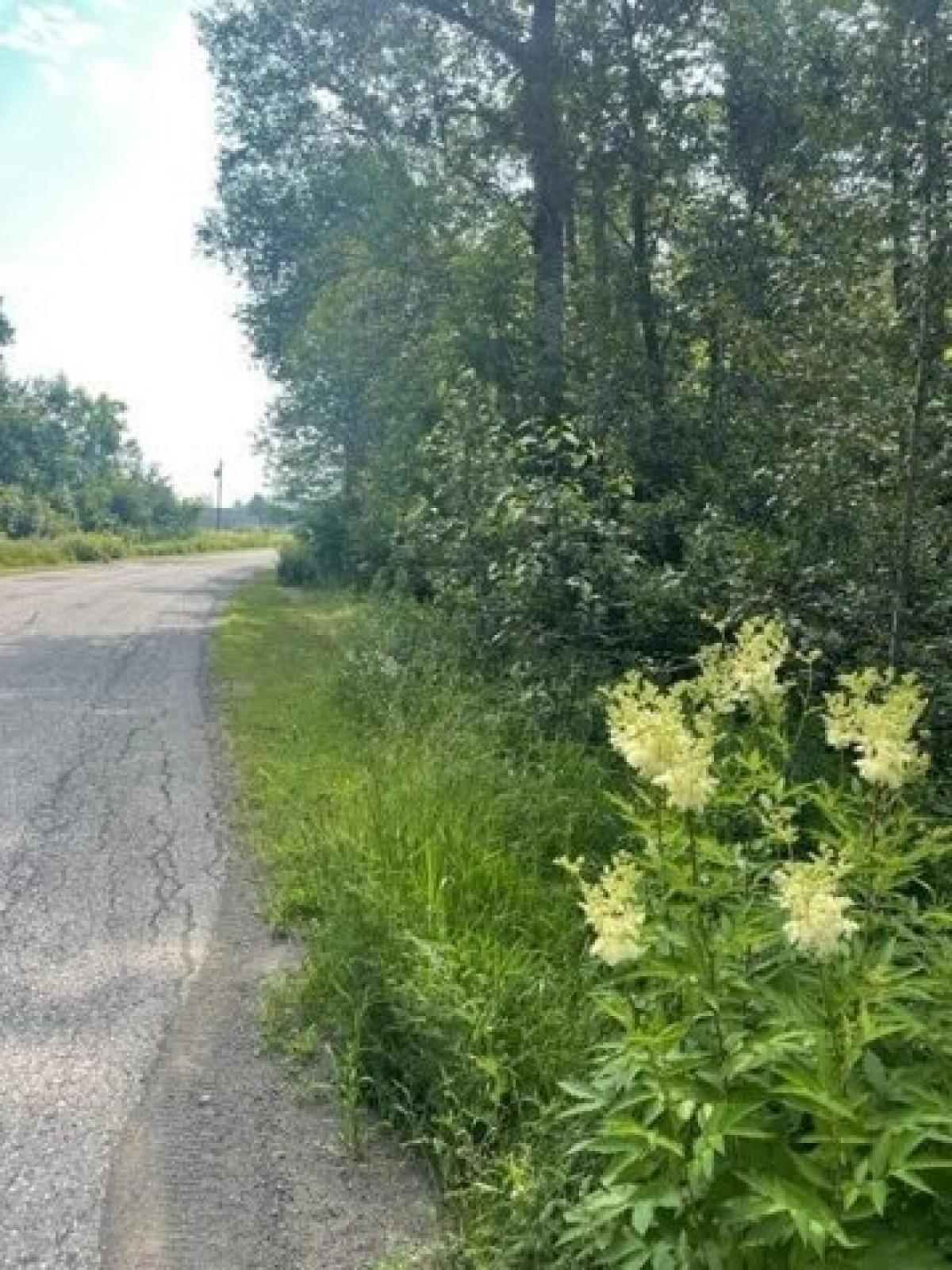 Picture of Residential Land For Sale in Eagle Lake, Maine, United States