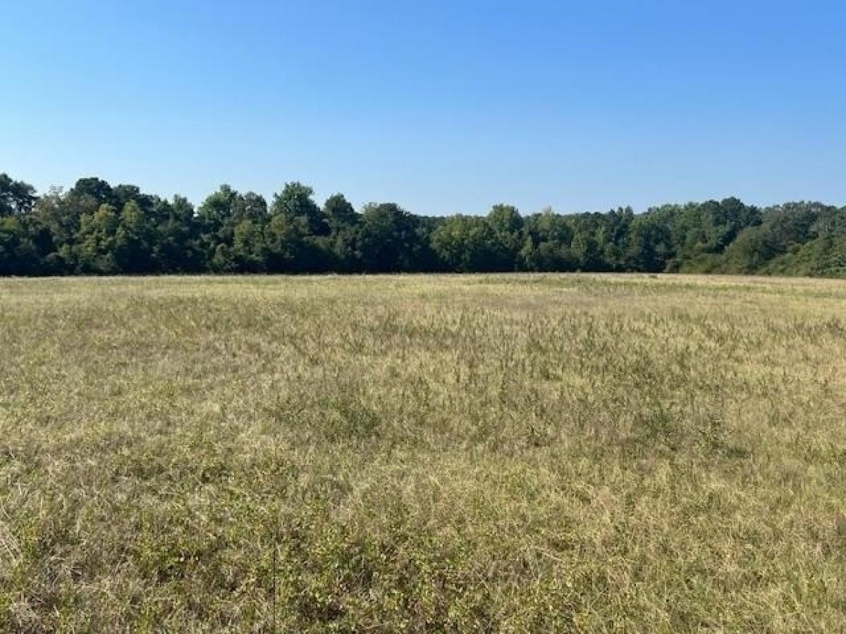 Picture of Residential Land For Sale in Opp, Alabama, United States