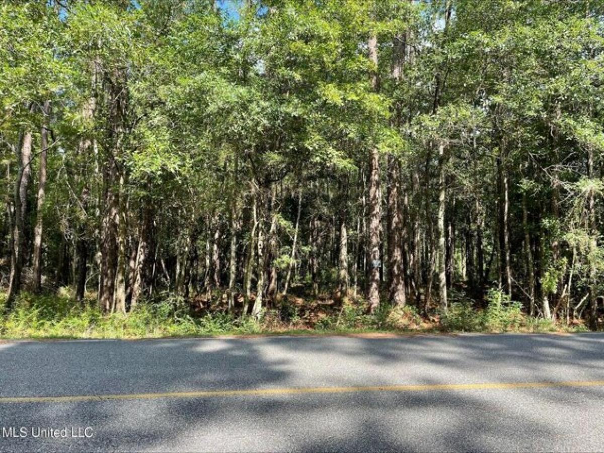 Picture of Residential Land For Sale in Carriere, Mississippi, United States