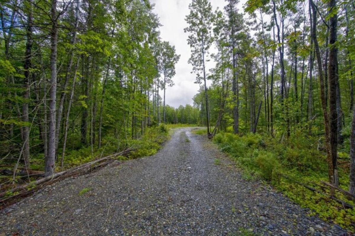 Picture of Residential Land For Sale in Etna, Maine, United States