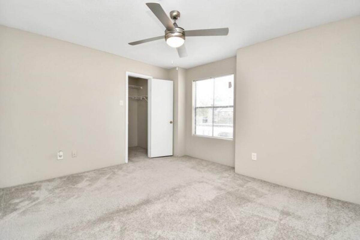 Picture of Apartment For Rent in League City, Texas, United States