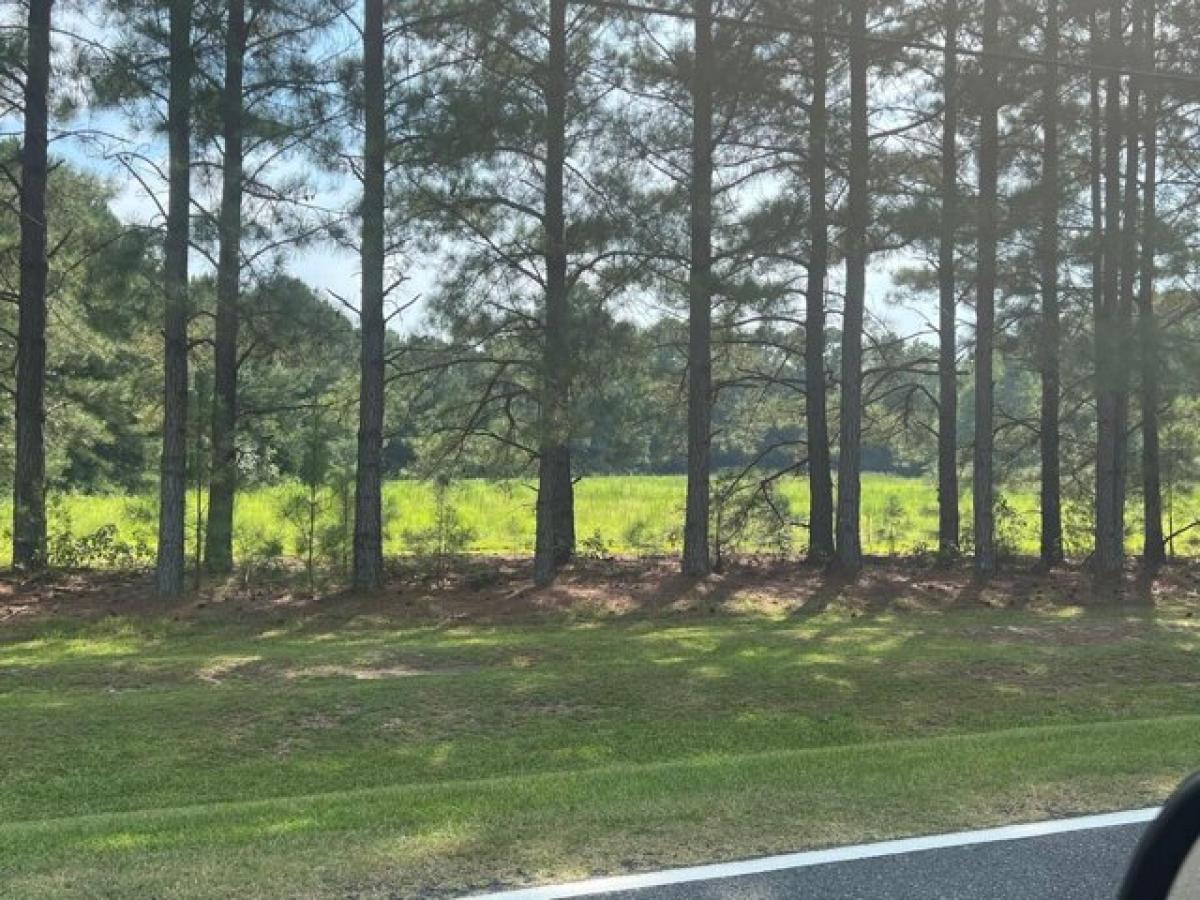 Picture of Residential Land For Sale in Angier, North Carolina, United States