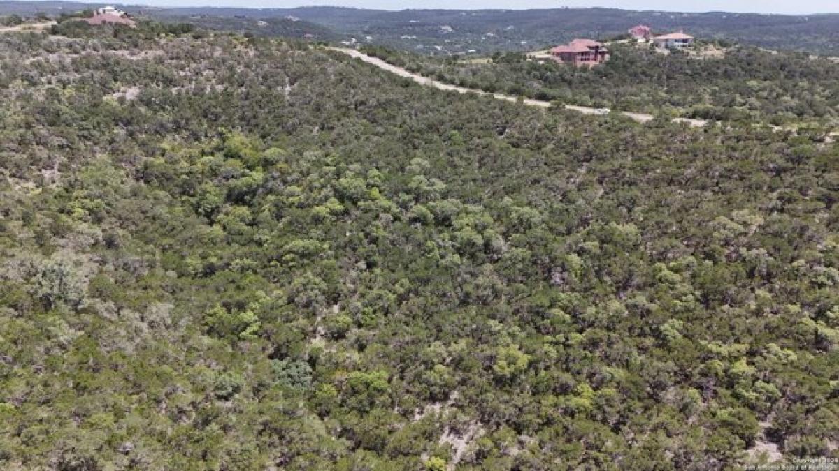 Picture of Residential Land For Sale in Mico, Texas, United States