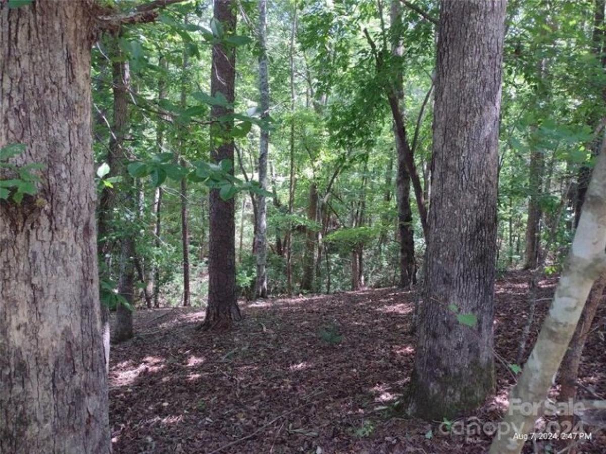 Picture of Residential Land For Sale in Lake Lure, North Carolina, United States