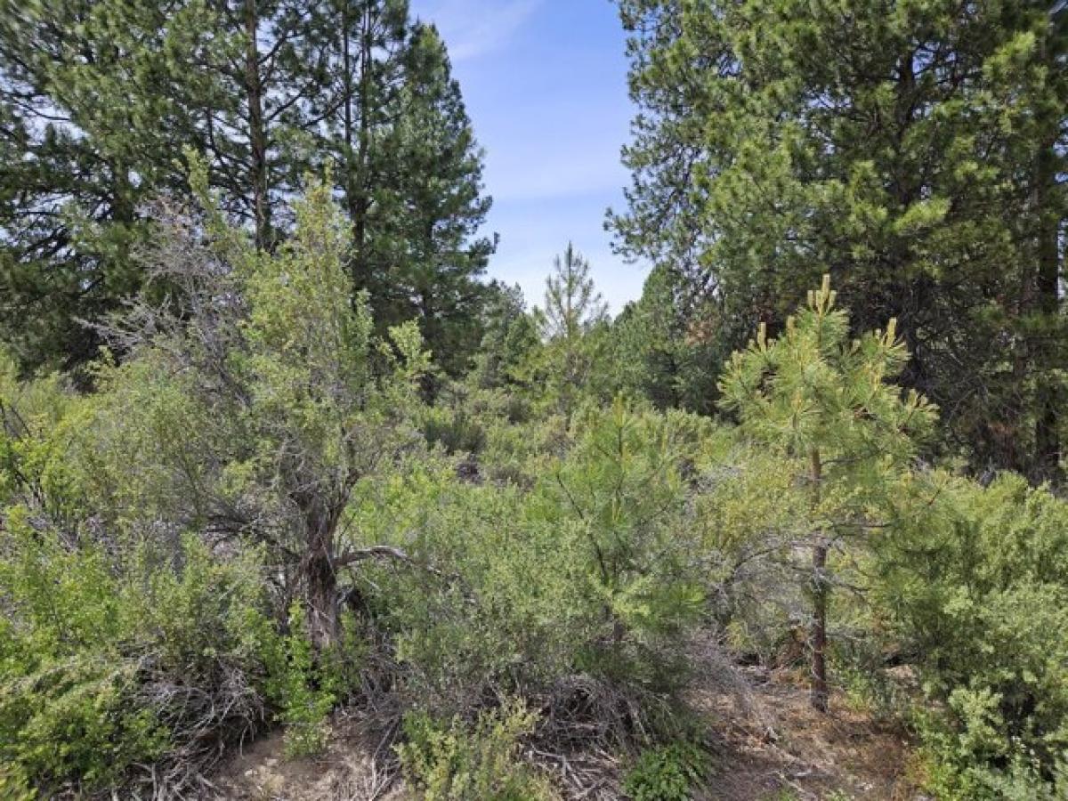 Picture of Residential Land For Sale in Chiloquin, Oregon, United States