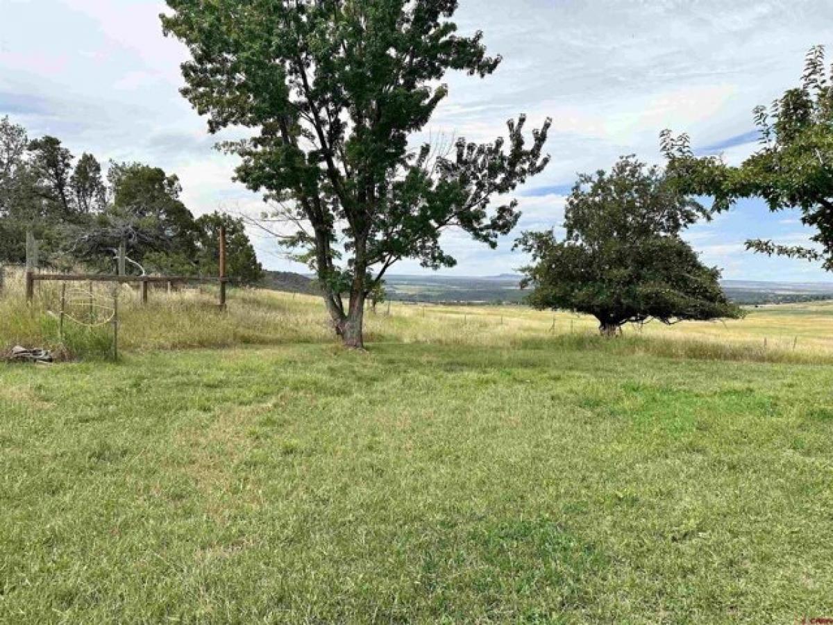 Picture of Home For Sale in Crawford, Colorado, United States