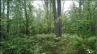 Residential Land For Sale in Lewiston, Michigan