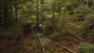 Residential Land For Sale in 