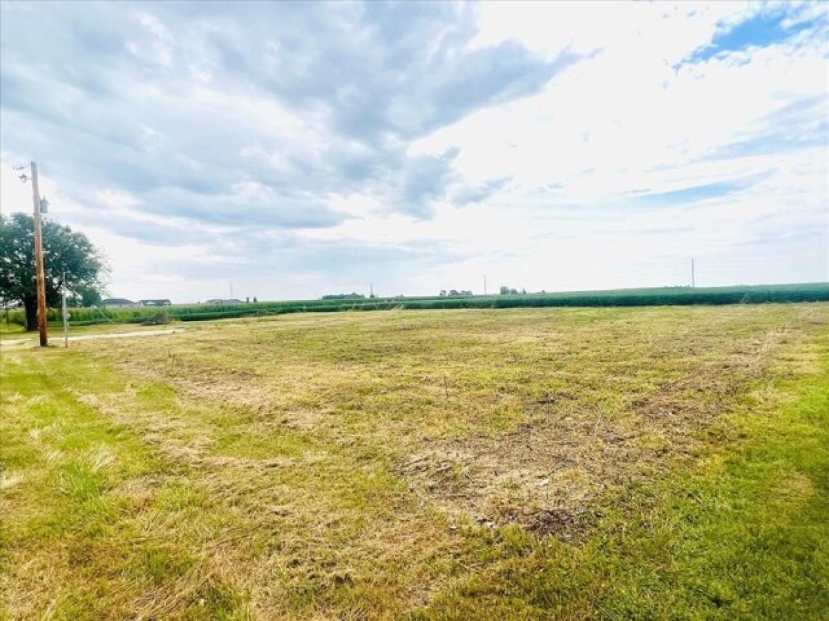 Picture of Residential Land For Sale in El Paso, Illinois, United States