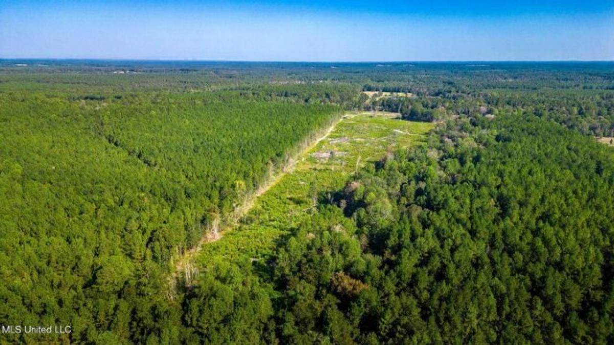 Picture of Residential Land For Sale in Sumrall, Mississippi, United States