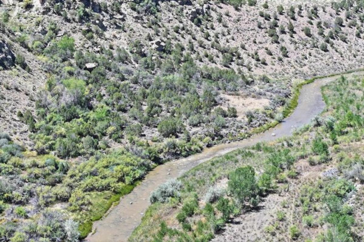 Picture of Residential Land For Sale in Mesa, Colorado, United States