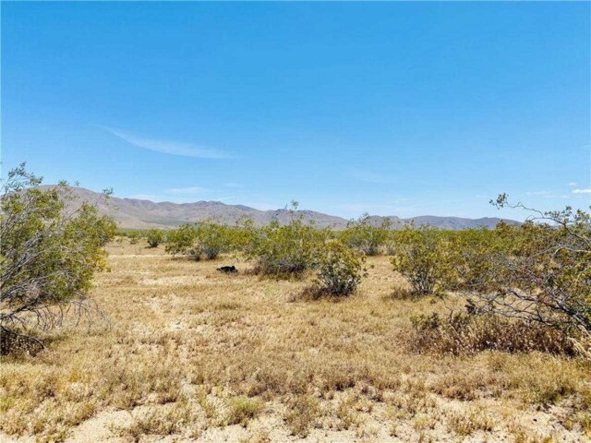 Picture of Residential Land For Sale in Apple Valley, California, United States