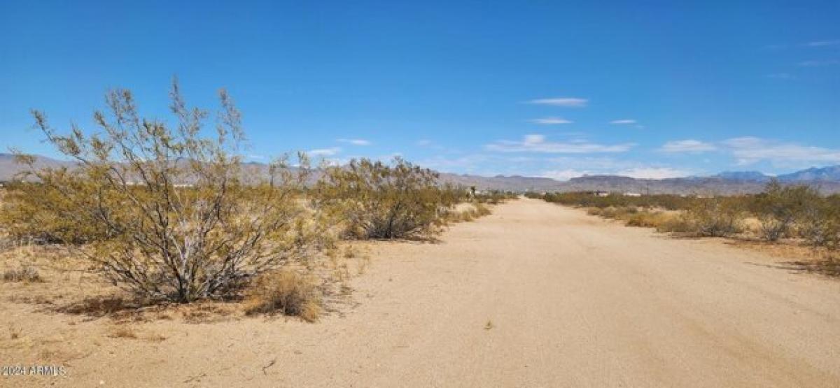 Picture of Residential Land For Sale in Golden Valley, Arizona, United States