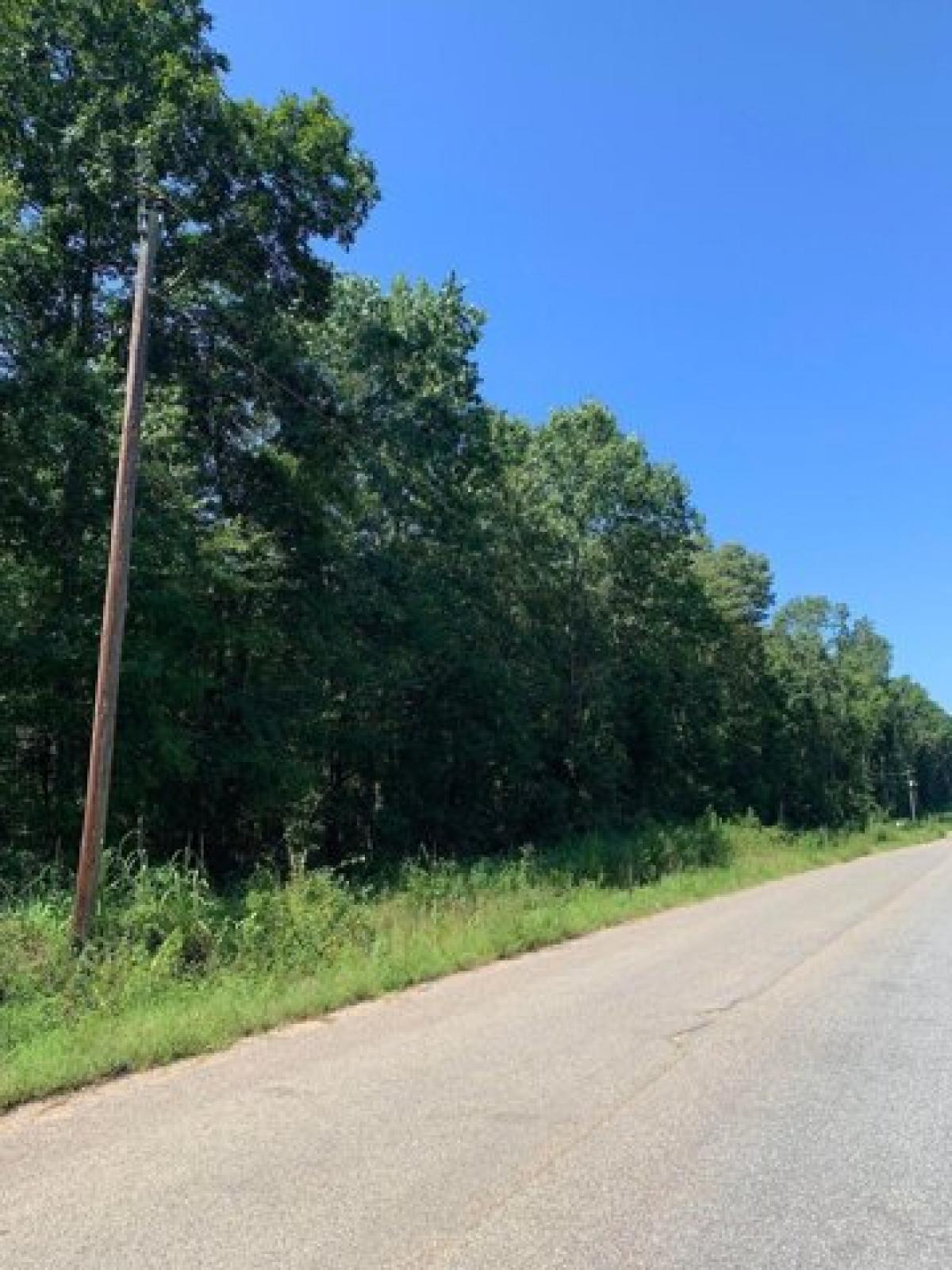 Picture of Residential Land For Sale in Rison, Arkansas, United States