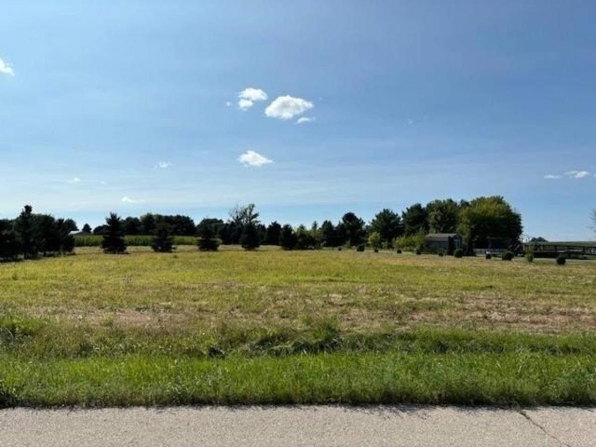 Picture of Residential Land For Sale in Ripon, Wisconsin, United States