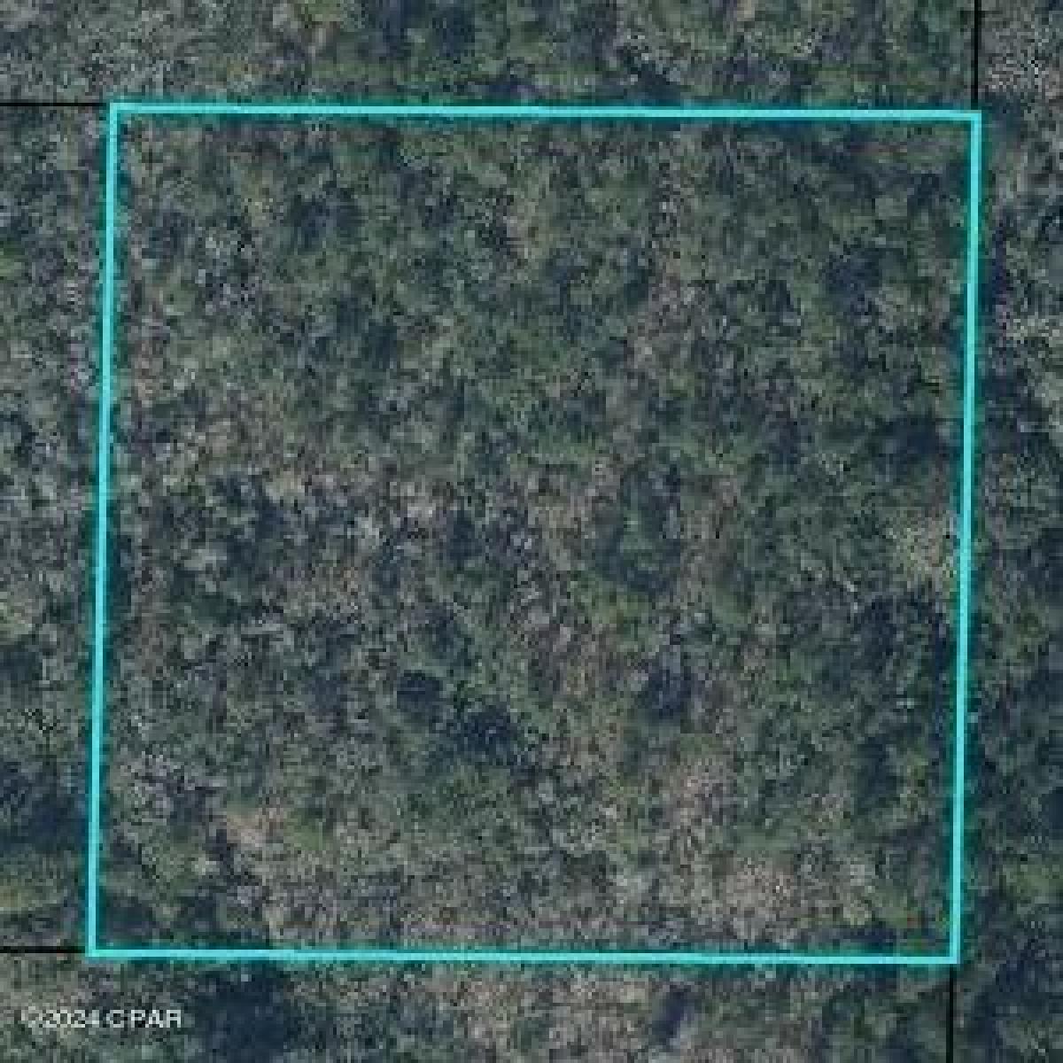 Picture of Residential Land For Sale in Westville, Florida, United States