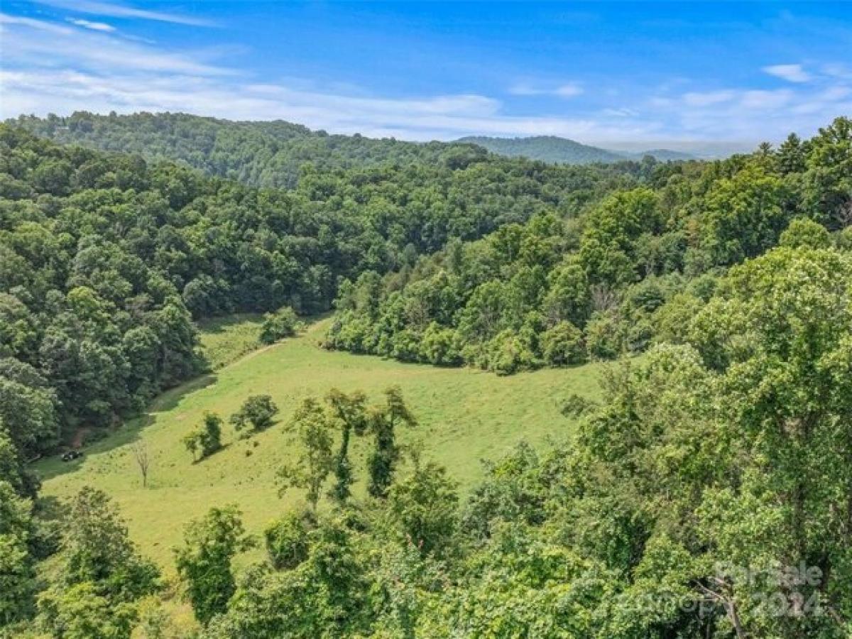 Picture of Home For Sale in Marshall, North Carolina, United States