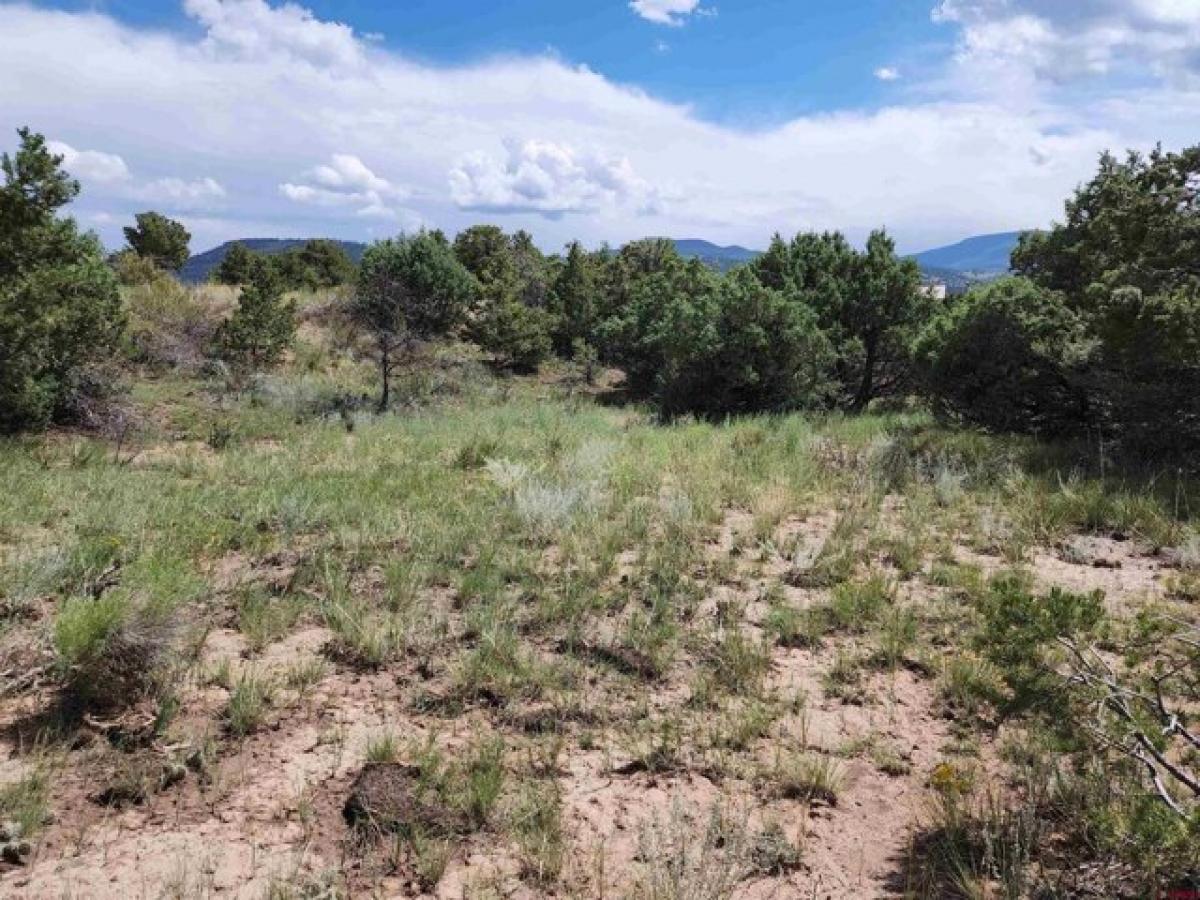 Picture of Residential Land For Rent in South Fork, Colorado, United States