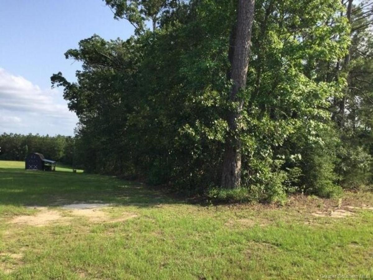 Picture of Residential Land For Sale in Leesville, Louisiana, United States