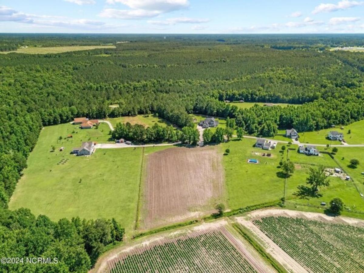 Picture of Residential Land For Sale in Maple Hill, North Carolina, United States