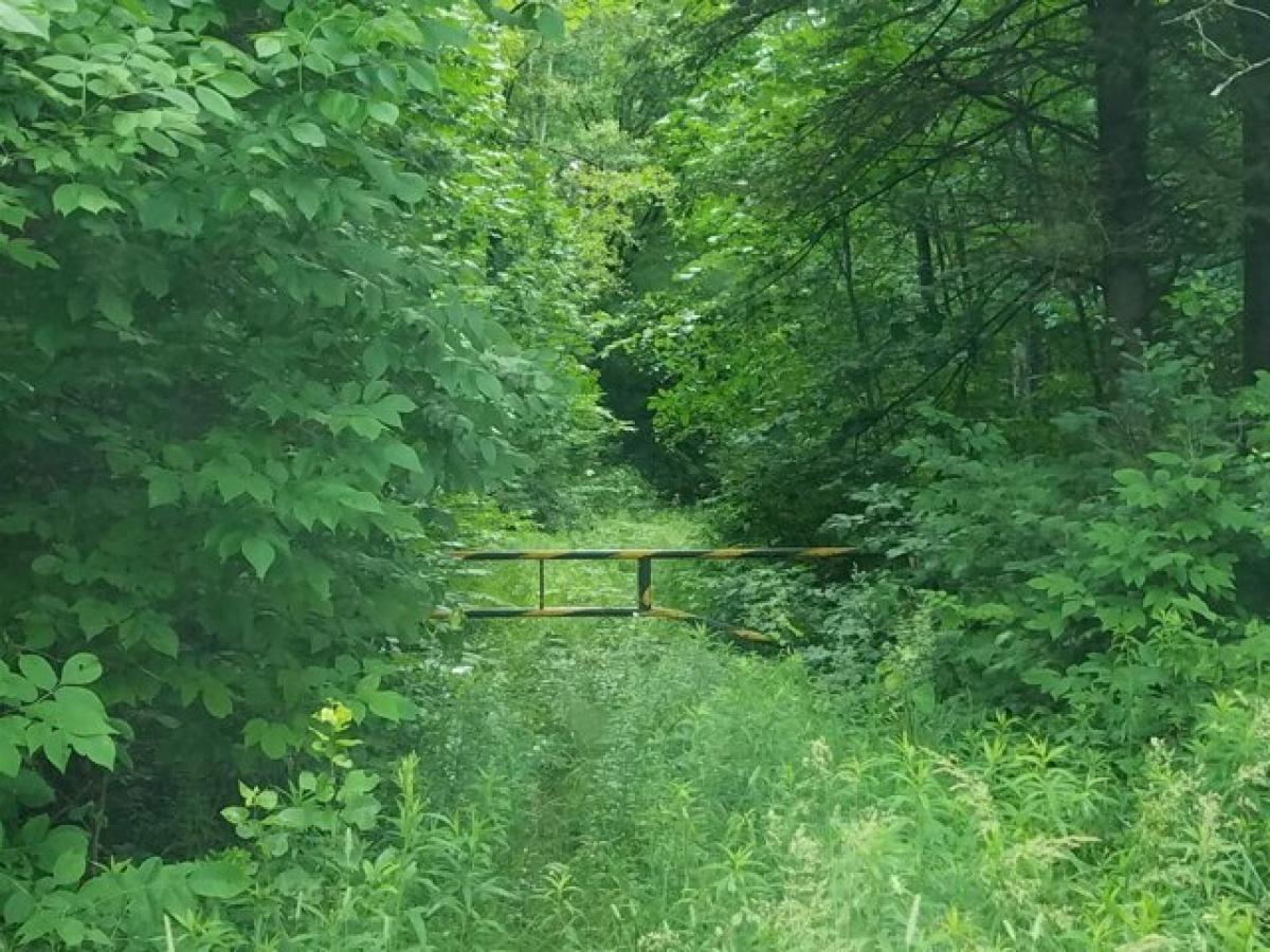 Picture of Residential Land For Sale in Butternut, Wisconsin, United States