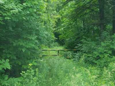 Residential Land For Sale in Butternut, Wisconsin