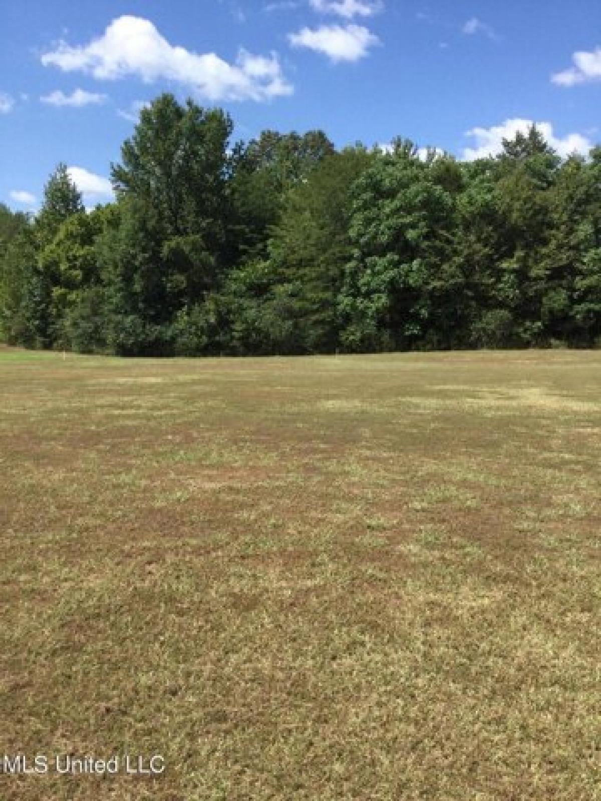 Picture of Residential Land For Sale in Coldwater, Mississippi, United States