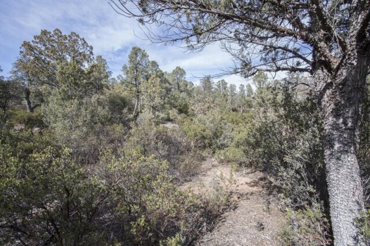 Picture of Residential Land For Sale in Payson, Arizona, United States