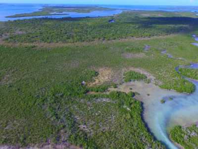 Residential Land For Sale in Summerland Key, Florida