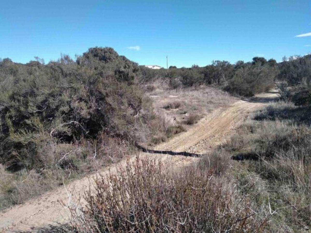 Picture of Residential Land For Sale in Campo, California, United States