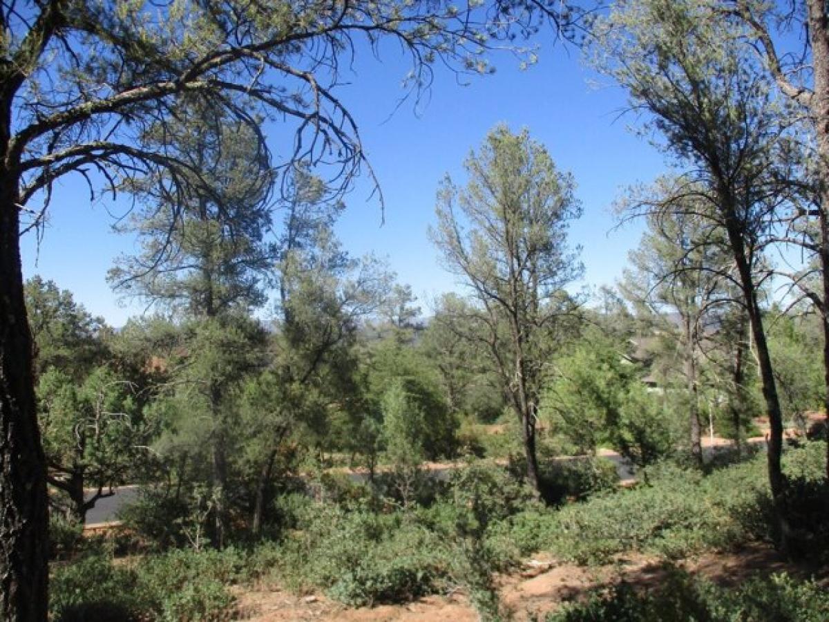 Picture of Residential Land For Sale in Payson, Arizona, United States