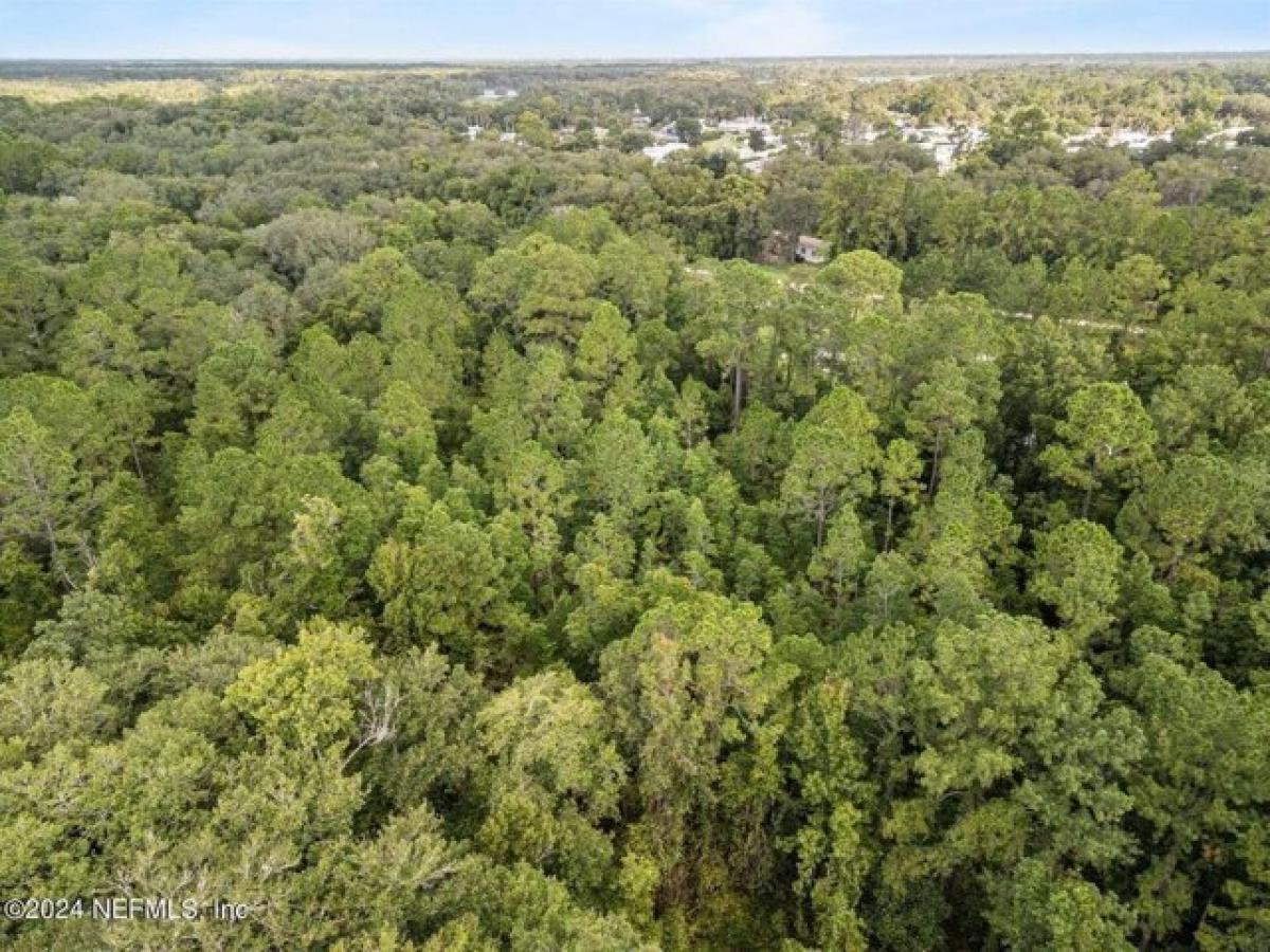 Picture of Residential Land For Sale in Satsuma, Florida, United States