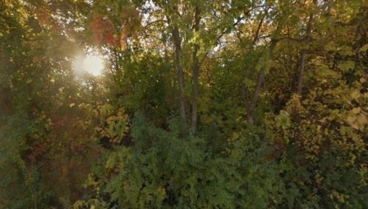 Picture of Residential Land For Sale in Waukegan, Illinois, United States