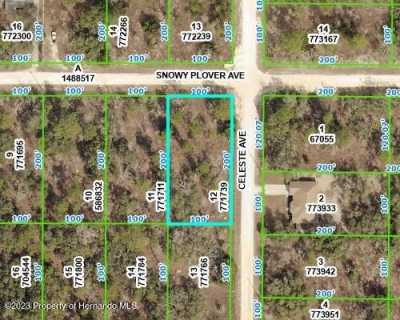 Residential Land For Sale in Brooksville, Florida